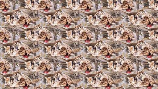 1229947 (a): :1920x1080